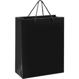 Altitude Dazzle Midi Paper Gift Bag Black Unbranded